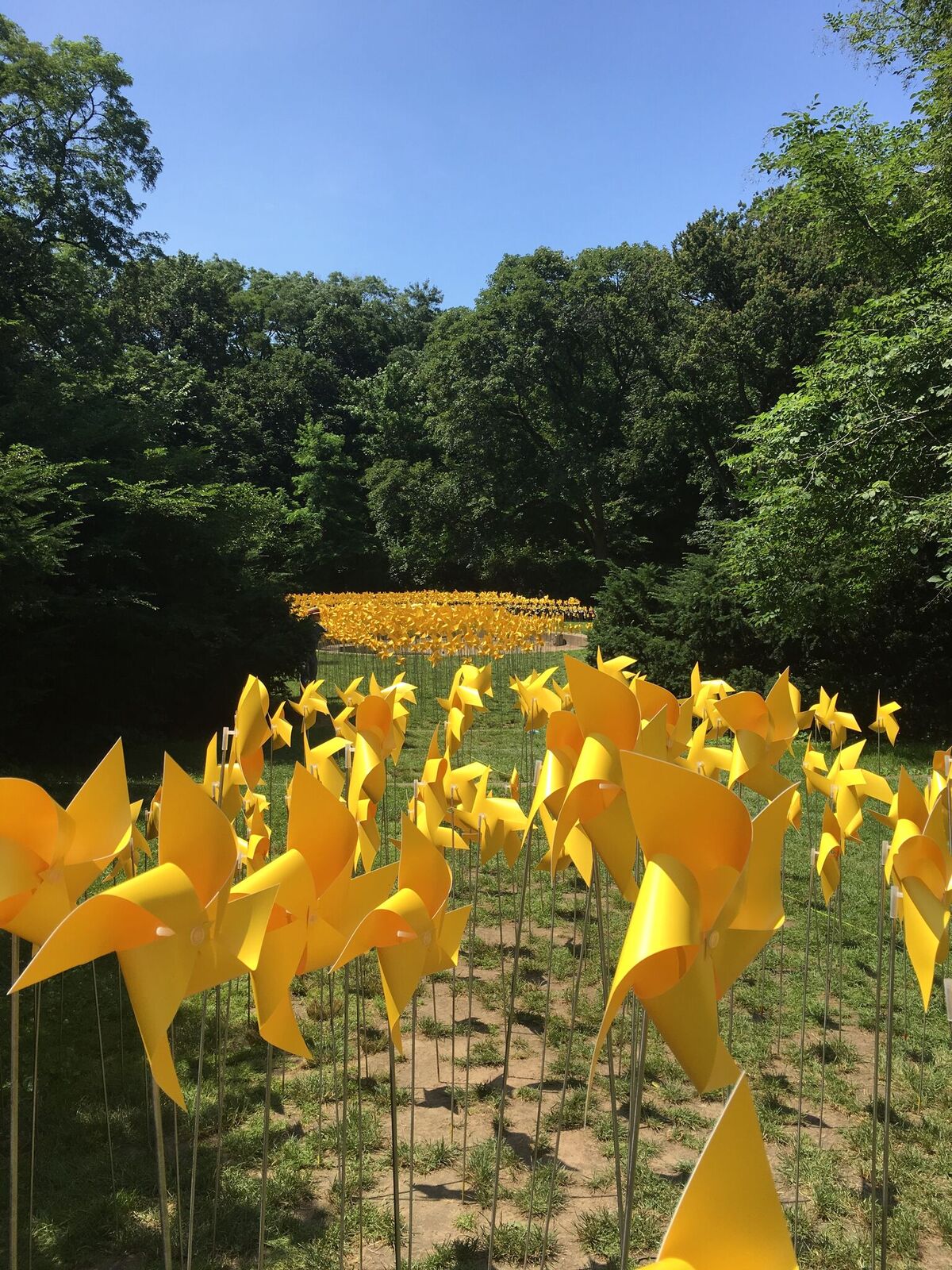 The Connective Project: Prospect Park Alliance